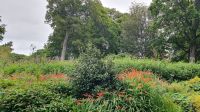 im Botanischen Garten 20230804 104356