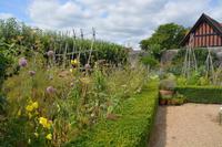 im Garten