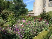im Rosengarten