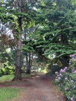 in Balmoral