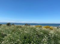 in Nairn