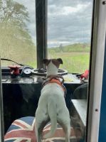 unser Copilot