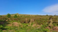 unterwegs im Dartmoor