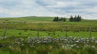 unterwegs im Dartmoor