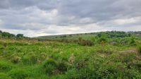 unterwegs im Dartmoor