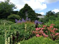 wunderschöner Garten