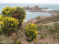 am Corbiere Leuchtturm