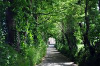 Green Lane &ndash; &copy; Martin Büchner (Eberhardt TRAVEL)