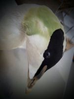 0705 Wattenmeerzentrum