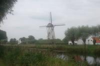 alte Holländermühle bei Damme