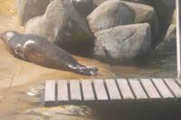 Im Sealife-Park Blankenberge