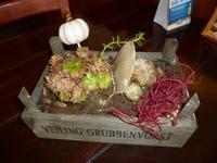 Tischschmuck Lokal in Breille