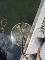 Austernfabrik Oostende