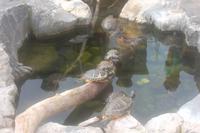 Im Sealife-Park Blankenberge
