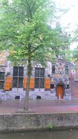 in Delft