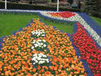 Keukenhof