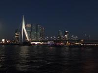 Die Erasmusbrücke in Rotterdam bei Nacht