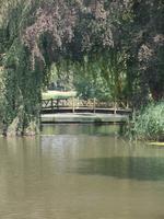 Im Garten vom Kastell de Haar nahe Utrecht