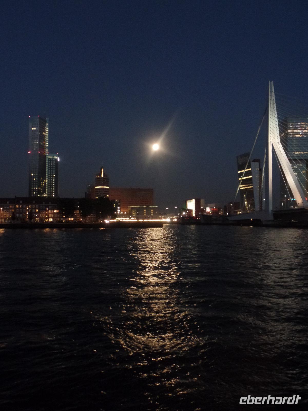 Die Erasmusbrücke in Rotterdam bei Nacht