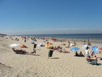 Dünen und Strand auf Texel