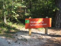 Die Dünen von Schoorlse