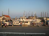 Hafen von Oudeschild auf Texel