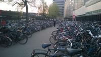 Fahrradparkplatz am Hauptbahnhof in Amsterdam