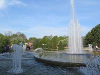 auf dem Keukenhof, Holland