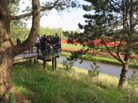auf dem Keukenhof, Holland