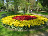 auf dem Keukenhof, Holland