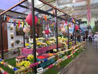 auf dem Keukenhof, Holland