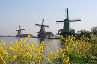 Blick auf die Windmühlen in 