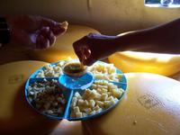 Käseverkostung beim Käsebauern