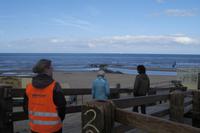 Pause an der Nordseeküste