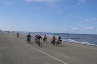 Eberhardt-Radreisegruppe bei Gegenwind auf dem Nordseedeich