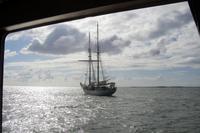 Auf der Überfahrt nach Oudeschild