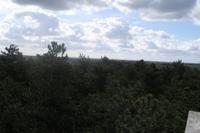 Ausblick über die Insel Texel