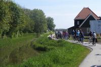 Schafe behindern dem Weg zum Leuchtturm von Marken ;)