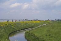 Rückfahrt vom Leuchtturm in Richtung Amsterdam