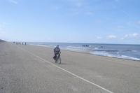 Auf dem Nordseedeich