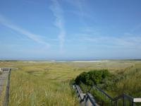 eine wundervolle Natur auf der wunderschönen Insel Texel