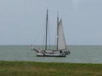 häufig zu beobachten, ältere Segelschiffe