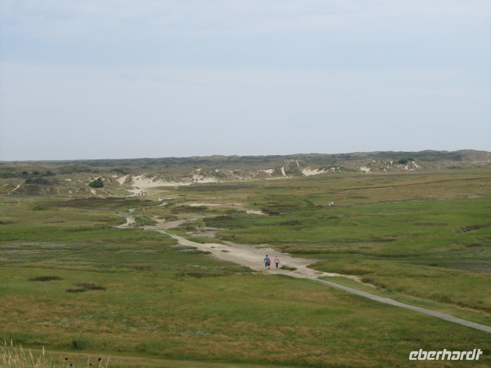 4. Radtag: De Slufter