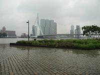 Rotterdam - Erasmusbrücke