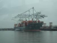 Rotterdam - Hafenrundfahrt