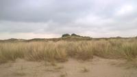 Aussicht am Westrand von Texel