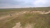 Aussicht am Westrand von Texel
