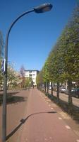 Fahrradweg in Amsterdam