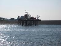 Hafen von Den Helder
