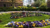 Park in Enkhuizen